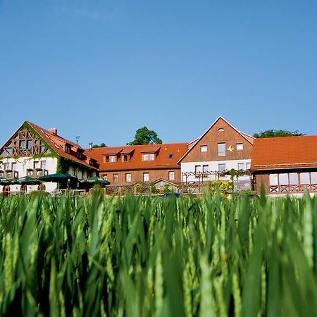 Hotel Neue Hoehe Klingenberg Dış mekan fotoğraf
