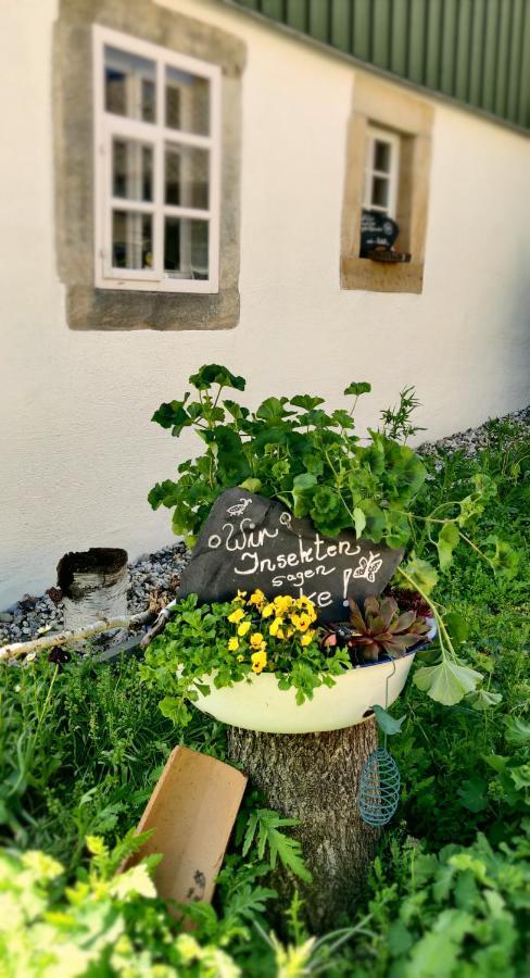 Hotel Neue Hoehe Klingenberg Dış mekan fotoğraf
