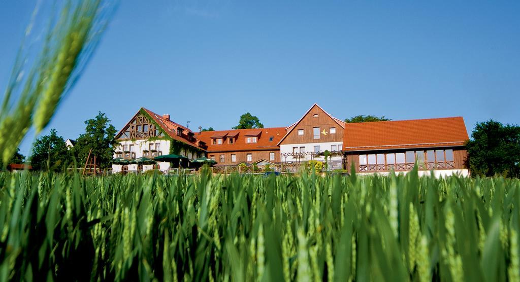 Hotel Neue Hoehe Klingenberg Dış mekan fotoğraf